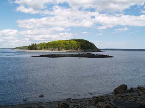 View of Sheep Porcupine Island from the northeast shore of Bar Island (photo by Sharon Sierra)