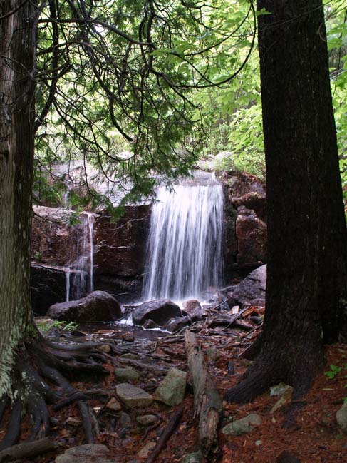 Waterfall on Cannon Brook Trail (photo by Sharon Sierra)