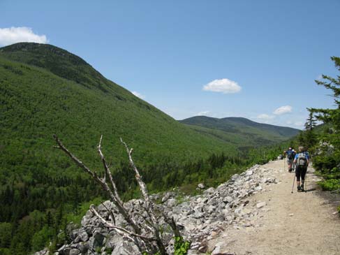 Trail next to Whitewall Mountain (photo by Mark Malnati)