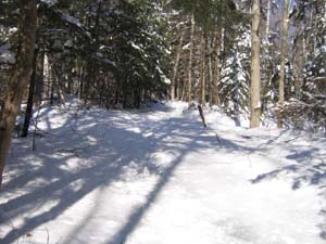 snowy trail (photo by Mark Malnati)
