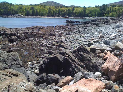 Cromwell Harbor (photo by Cheryl Cromwell)