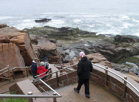 Near Thunder Hole (photo by Sally Nickerson)