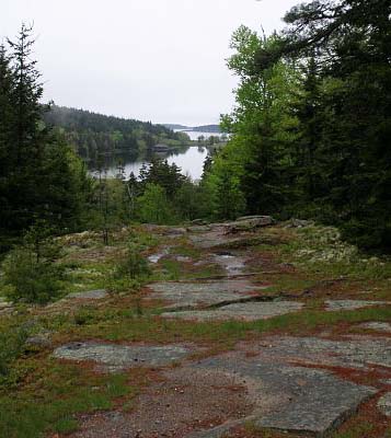 A quiet vista (photo by Sally Nickerson)