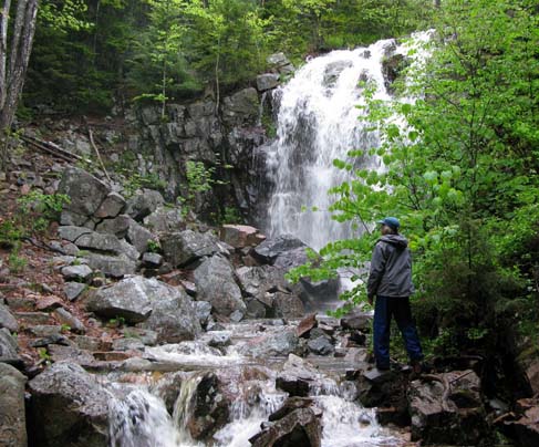 Sally at Hadlock Waterfall (photo by Mark Malnati)