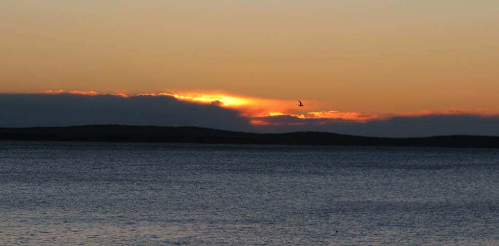 Sunrise from Otter Cliffs (photo by Mark Malnati)
