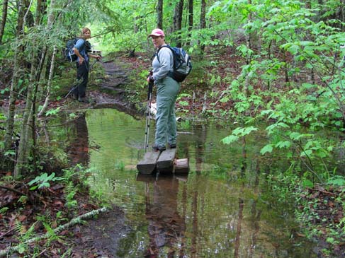 Cheryl stuck on a bog bridge in the middle of a flooded trail (photo by Mark Malnati)