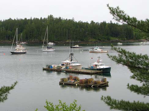 Lobster boats (photo by Mark Malnati)