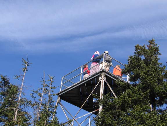 SDH on the observation tower (photo by Dennis Marchand)