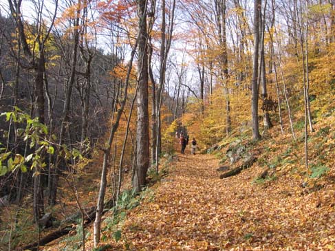 Trail (photo by Dennis Marchand)