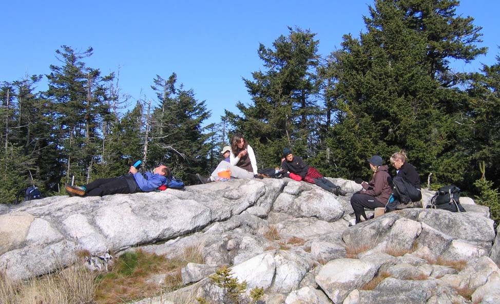 SDH relaxing on the rocks (photo by Mark Malnati)