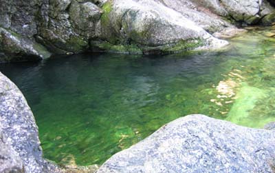 Emerald Pool (photo by Mark Malnati)