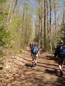 Lincoln Woods Trail (photo by Sharon Sierra)