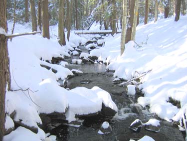 Snowy brook (photo by Mark Malnati)