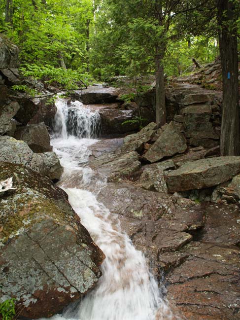 Stream crossing on A. Murray Young Path (photo by Sharon Sierra)