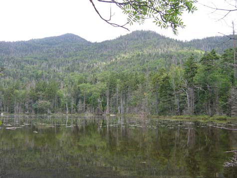 Little East Pond (photo by Mark Malnati)