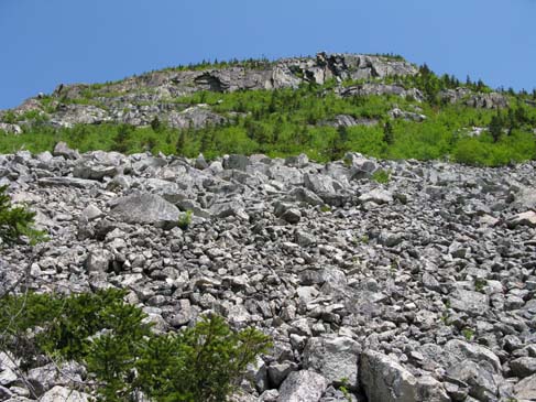 View of Whitewall Mountain looking up from Ethan Pond Trail (photo by Mark Malnati)