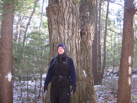 Mark in front of a big tree (photo by Dennis Marchand)