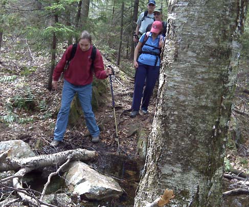 SDH at a brook crossing (photo by Diane King)