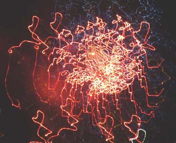 Fireworks (photo by Sharon Sierra)