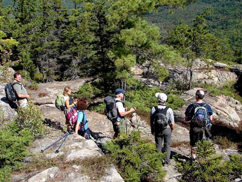 SDH on ledges (photo by Jim Pollard)