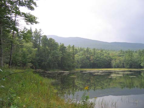 Gilson Pond (photo by Mark Malnati)