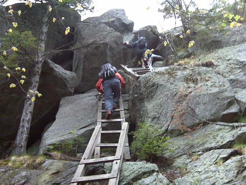 Ladders leading up to Mt. Morgan (photo by Diane King)