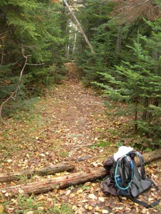 Start of Mount Nancy Tail (photo by Mary Sheldon)