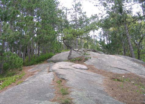 Trail up to Peaked Mountain (photo by Mark Malnati)