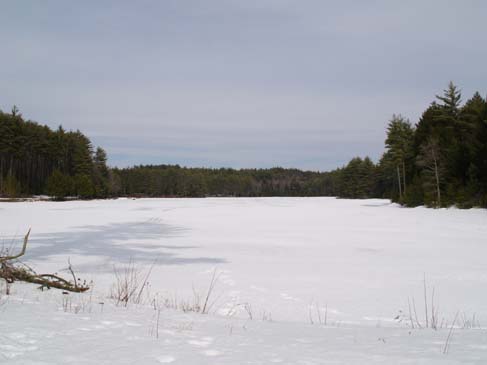 Meadow Lake from dam area (photo by Sharon Sierra)
