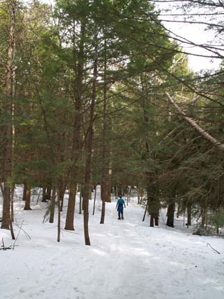 Lake Trail (photo by Sharon Sierra)