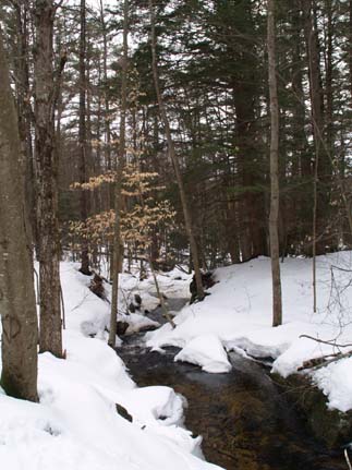 Tucker Brook (photo by Sharon Sierra)