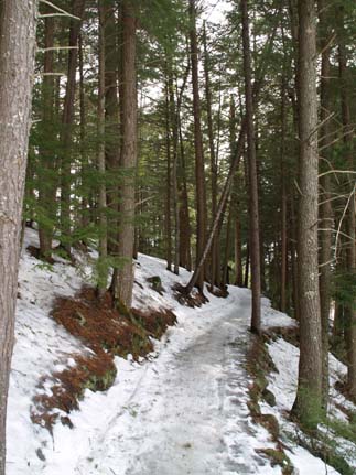 Lake Trail (photo by Sharon Sierra)