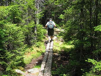 Sandwich Mtn. (photo by Sue Murphy)