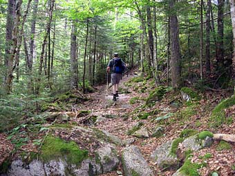 Sandwich Mtn. (photo by Sue Murphy)