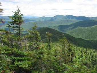 Sandwich Mtn. (photo by Sue Murphy)