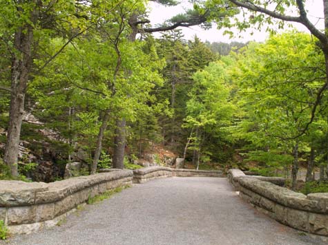 Carriage road (photo by Sharon Sierra)