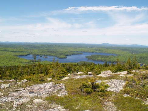 Donnell Pond from the summit of Schoodic Mountain (photo by Sharon Sierra)