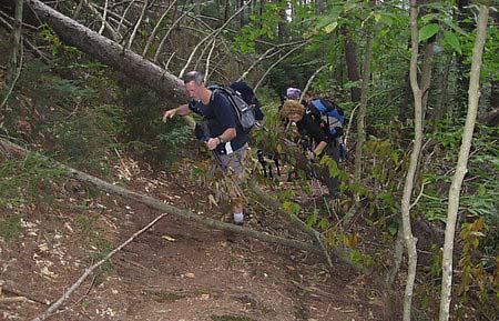 Navigating around the blowdown (photo by Sue Murphy)