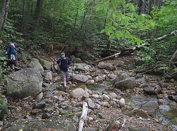 Crossing Stony Brook (photo by Sue Murphy)