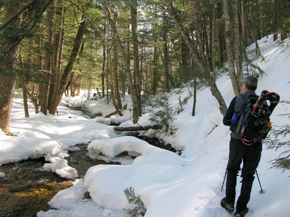 Dennis at a brook (photo by Mark Malnati)